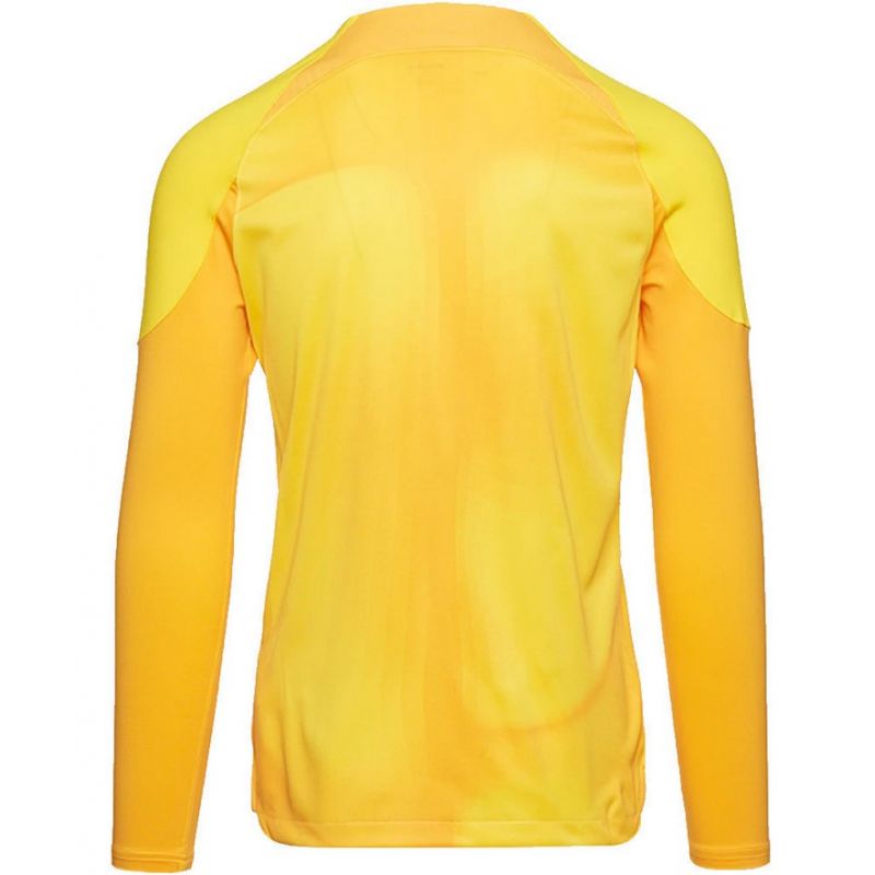 Nike Gardien IV Goalkeeper JSY M DH7967 719 goalkeeper shirt Clothing/Football Nike