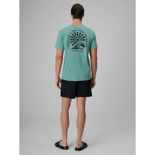 Men's 4F boardshorts with UPF50+ sun protection 4FRSS26UBDSM258-20S 4f
