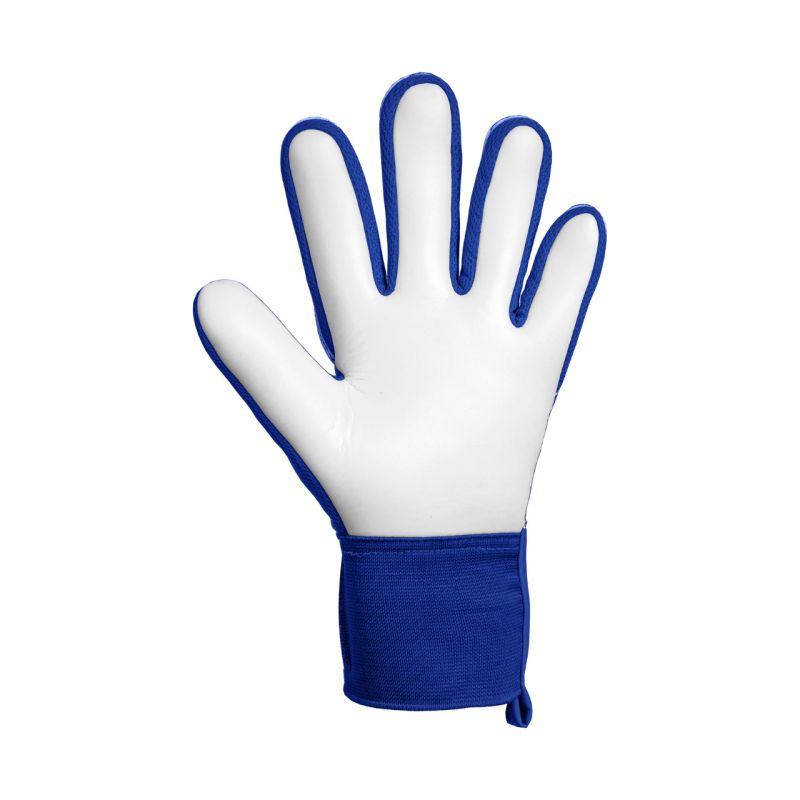Reusch Attrakt Starter Solid Goalkeeper Gloves Blue 5670514 4126