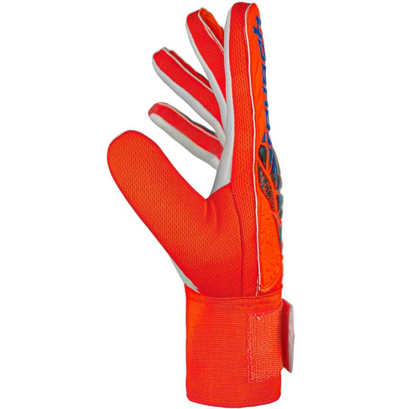 Reusch Attrakt Starter Solid goalkeeper gloves 5470514 2210 Accessories/Gloves Your Sports Performance