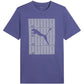 Puma Graphics Wording Tee M 684825 46 Clothing/Lifestyle/T-shirts Puma