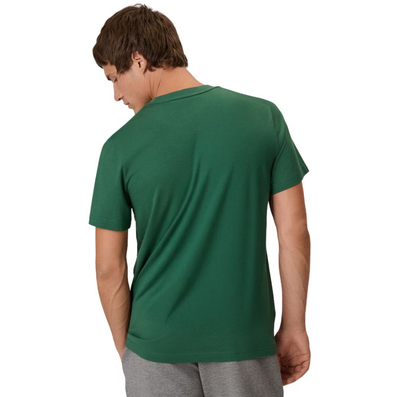 Men's 4F M3558 T-shirt, green 4FWAW26TTSHM3558 41S