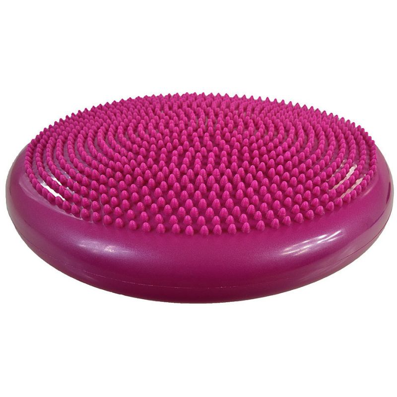 Inflatable disk PROFIT DK 2111 Accessories/Training equipment Your Sports Performance