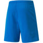 Puma teamRISE Short M 704942 02 Clothing/Football Puma
