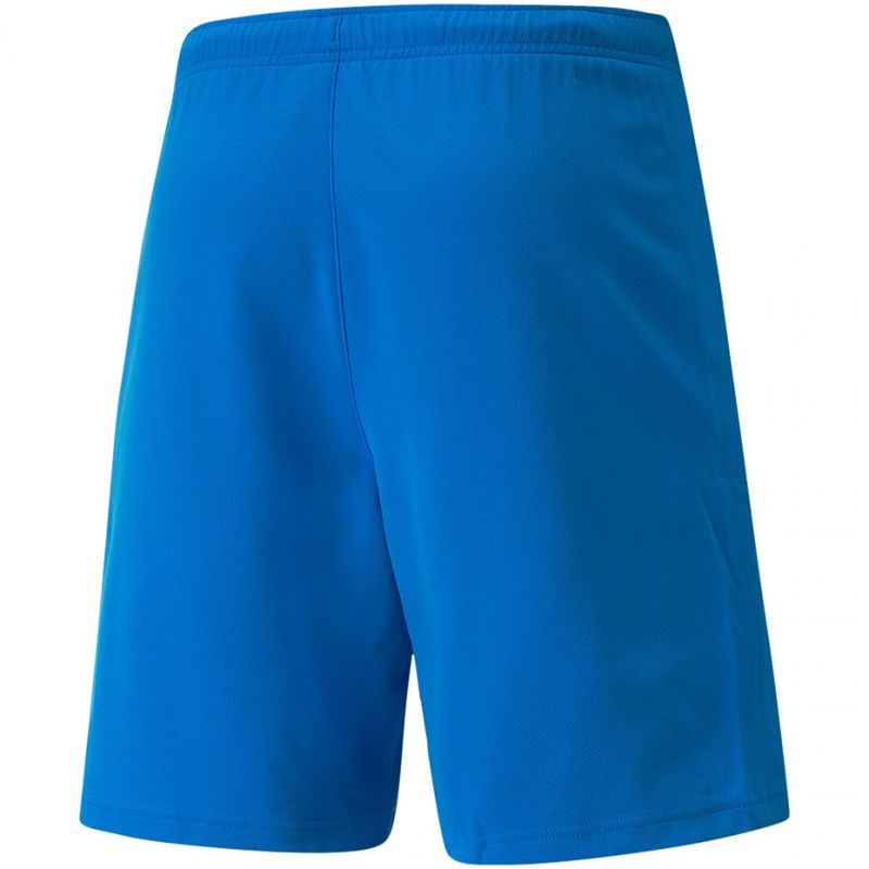 Puma teamRISE Short M 704942 02 Clothing/Football Puma