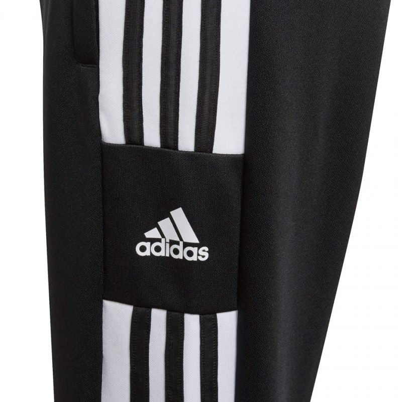 Adidas Squadra 21 Training Youth Jr GK9553 pants Clothing/Football Adidas