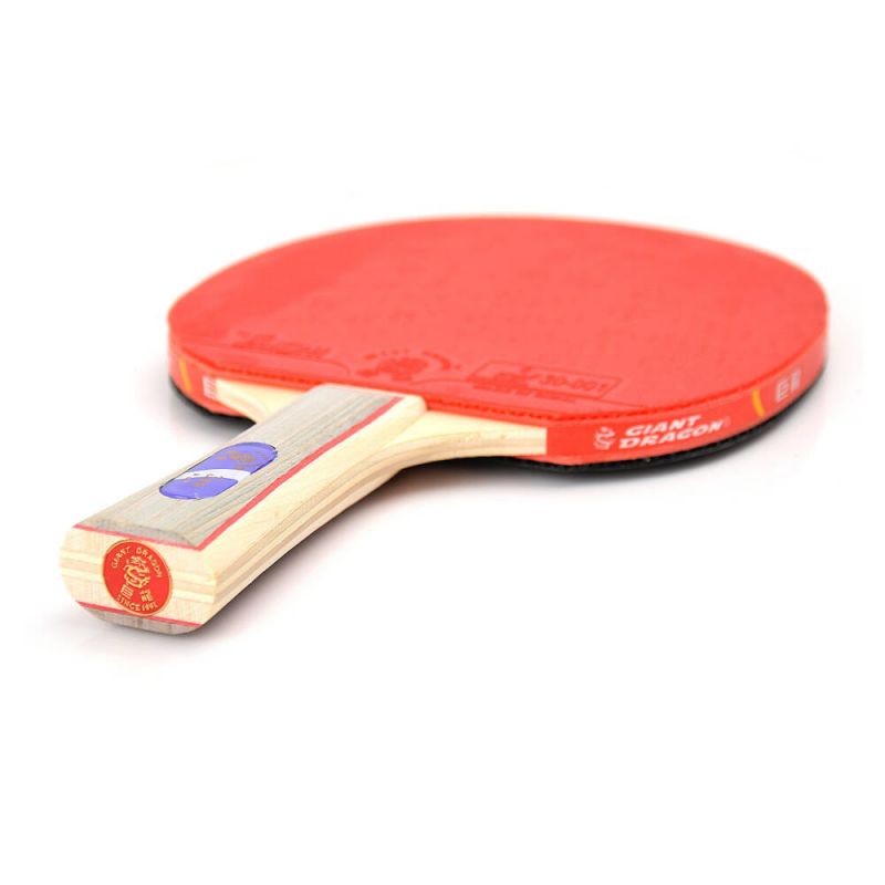 Giant Dragon 3★ N8031 Table Tennis Racket Accessories/Rackets and accessories Your Sports Performance