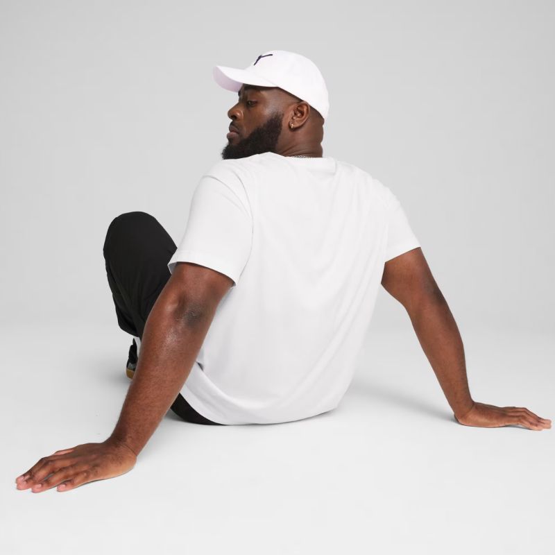 Puma ESS Small Logo Tee M 682538 02 Clothing/Lifestyle/T-shirts Your Sports Performance