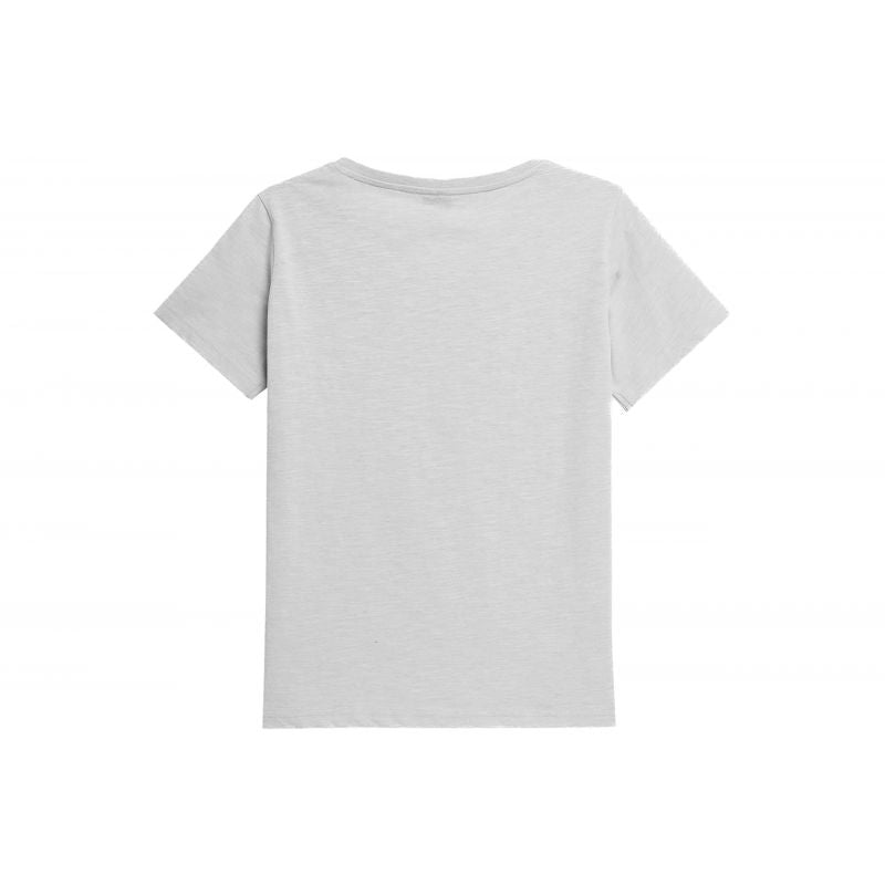 T-shirt 4F W 4FSS23TTSHF582 light gray Clothing/Training 4F