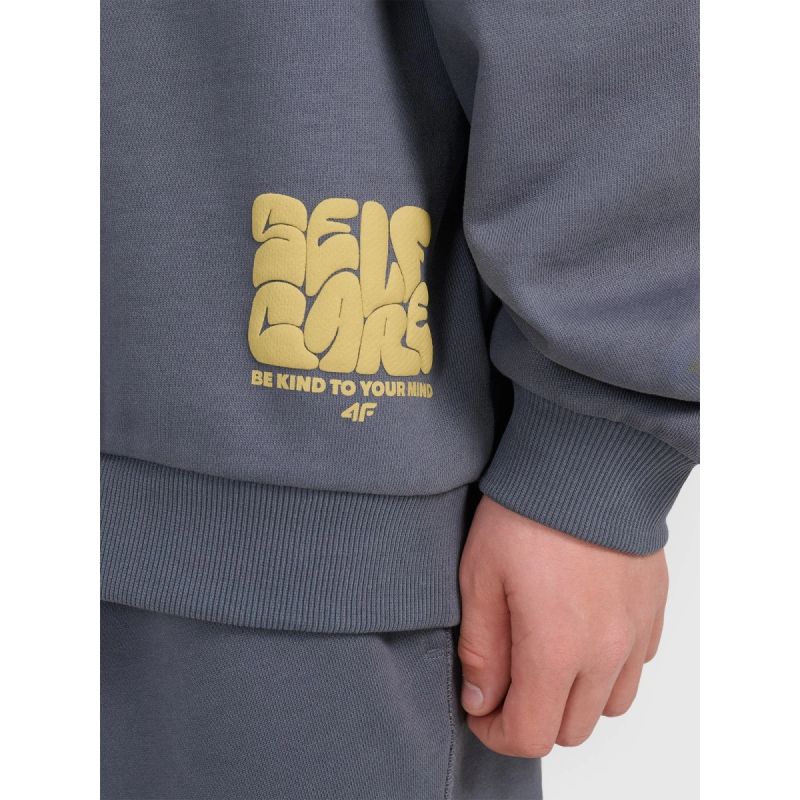 4F JUNIOR sweatshirt 4FJRAW25TSWSM2448-22S Clothing Your Sports Performance