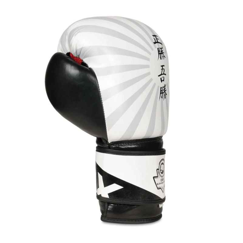 10oz Boxing Gloves - Japan - Valor Series rękawice treningowe Your Sports Performance