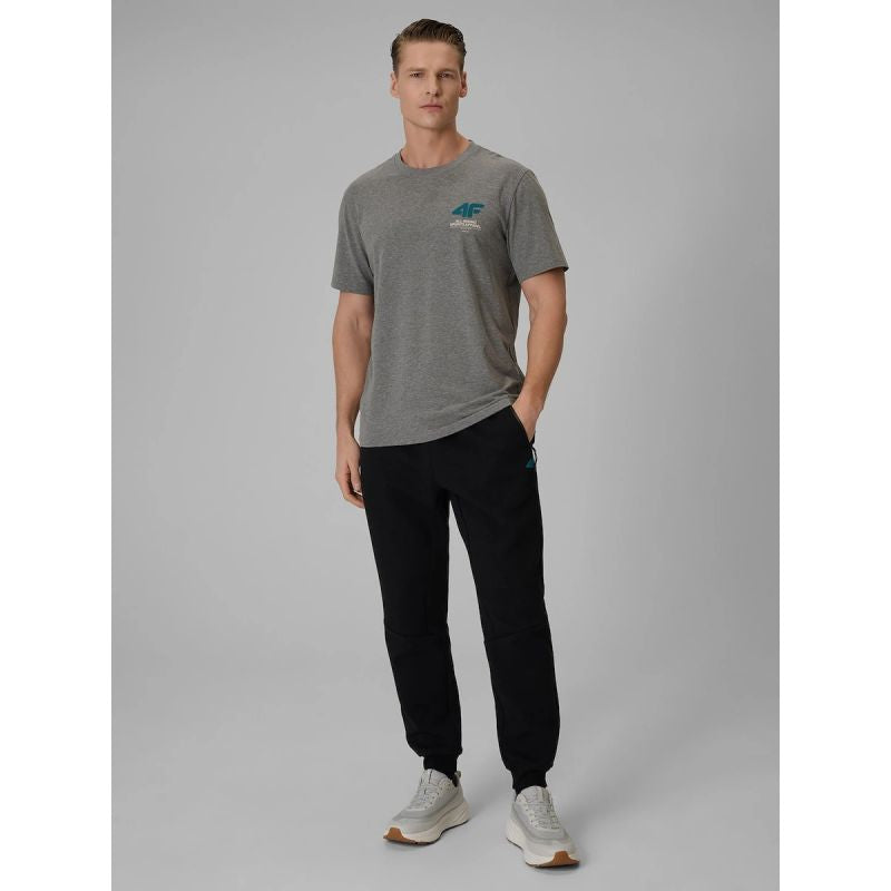 Men's regular plain T-shirt 4F 4FRSS26TTSHM3990-24M 4f