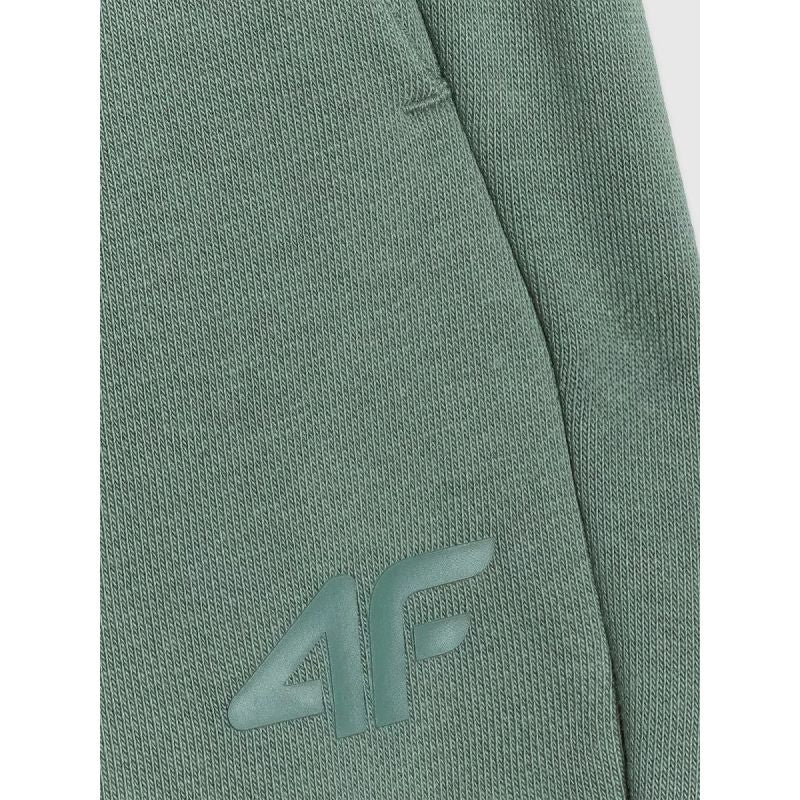 Men's sweatpants 4F 4FWAW25TTROM1272-41S 4f