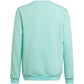 Adidas Entrada 22 Sweat Top Jr HC5042 sweatshirt Clothing/Football Adidas