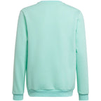 Adidas Entrada 22 Sweat Top Jr HC5042 sweatshirt Clothing/Football Adidas