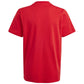 T-shirt adidas Big Logo Tee Jr IJ6262 Clothing/Lifestyle/T-shirts Adidas