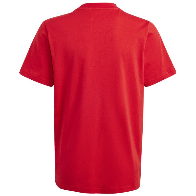 T-shirt adidas Big Logo Tee Jr IJ6262 Clothing/Lifestyle/T-shirts Adidas