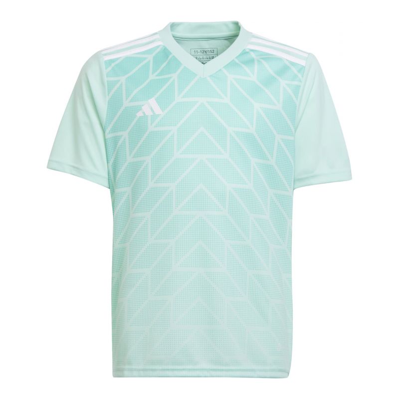 Adidas Team Icon 23 Jr T-shirt IC1255 Clothing/Football Adidas