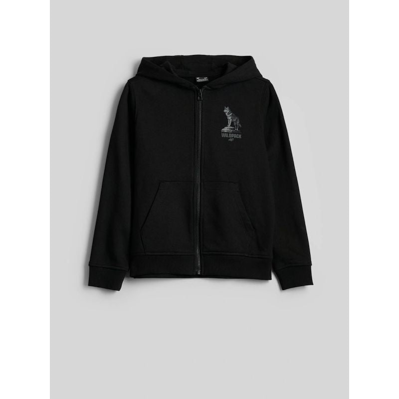 Boy's regular hooded sweatshirt 4F 4FJKAW26TSWSM3153-20S