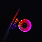 Plastic skateboard 22" Led Enero blue 1007366 Accessories/Skating Your Sports Performance
