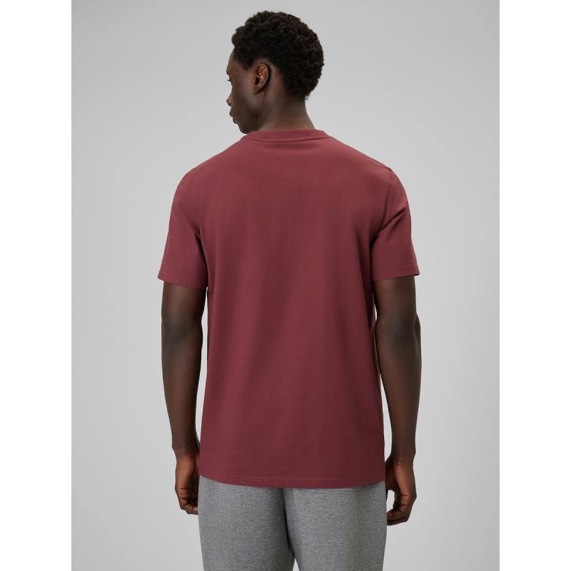 Men's regular plain T-shirt 4F 4FRSS26TTSHM3637-60S 4f