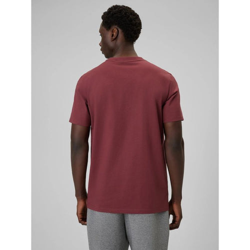 Men's regular plain T-shirt 4F 4FRSS26TTSHM3637-60S 4f
