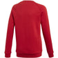 Adidas Core 18 SW Top JR CV3970 sweatshirt Clothing/Football Adidas