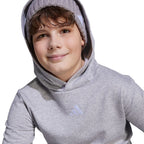 adidas Essentials Hoodie for kids gray JV9995 To be categorized Your Sports Performance