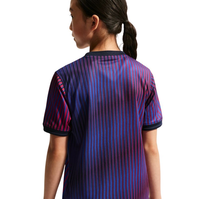 Nike Paris Saint-Germain kids' t-shirt purple IQ6946 420