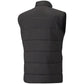 Puma teamLiga Vest M 657968 03 Clothing/Training Puma