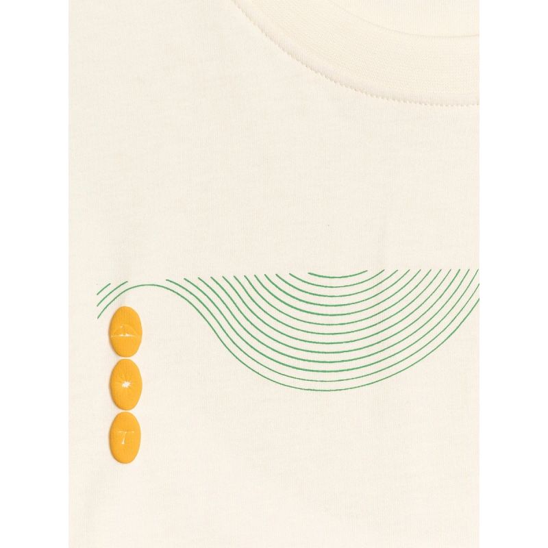 Men's regular printed T-shirt 4F 4FRAW25TTSHM3378-11S 4f