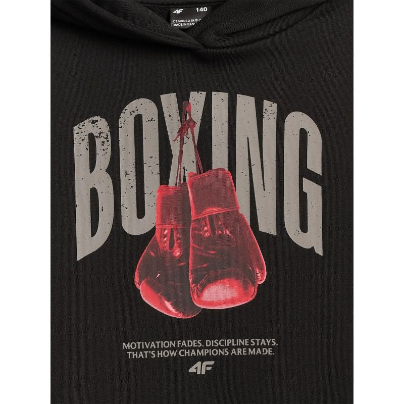 Boy's regular hooded sweatshirt 4F 4FJRSS26TSWSM2904-20S 4f