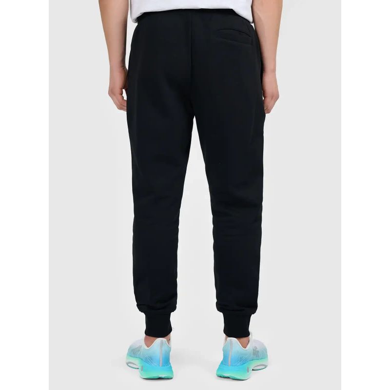Men's jogger sweatpants 4F 4FWMM00TTROM1860-20S