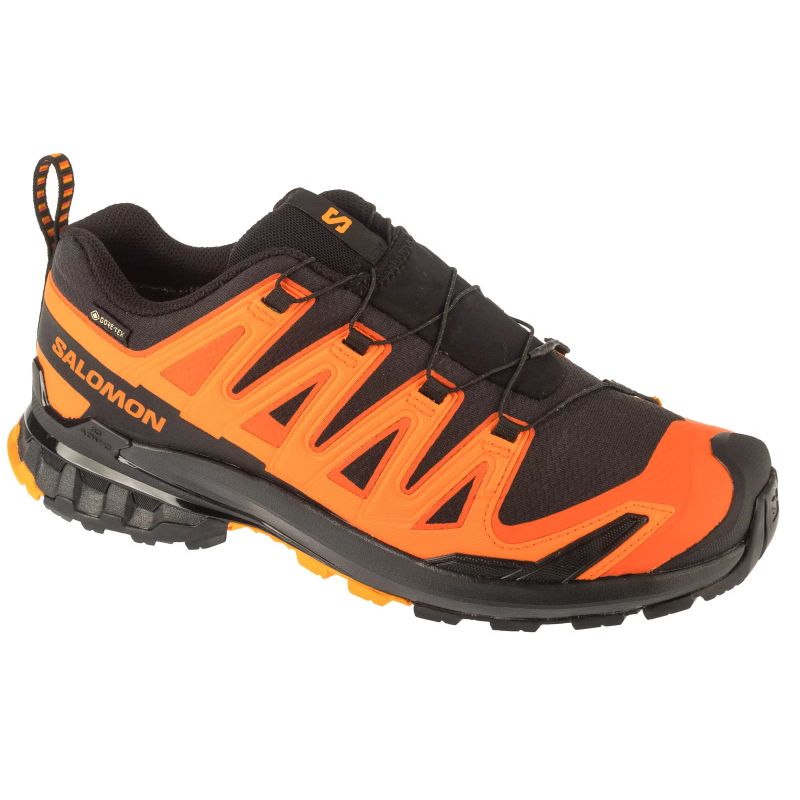 Salomon XA Pro 3D v9 GTX M L47961000 Running Shoes Footwear/Running/Men Your Sports Performance
