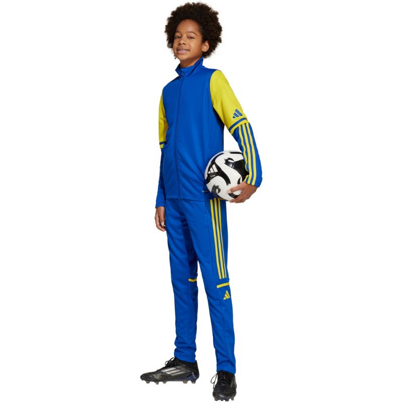 adidas Squadra 25 Training Jr Pants JP3154 Clothing/Football Adidas