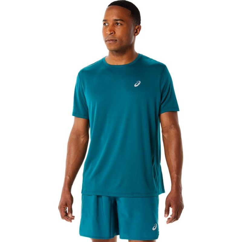 T-shirt Asics Katakana SS Top M 2011A813303 Clothing/Running Asics