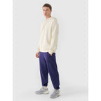 Men's jogger sweatpants 4F 4FWMM00TTROM1139-31S 4f