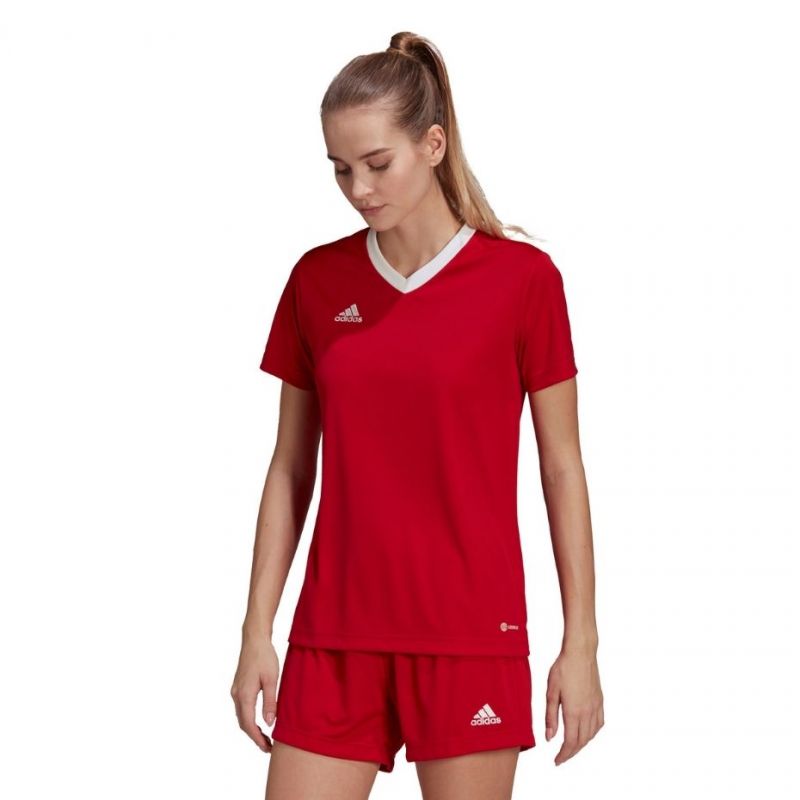 T-shirt adidas Entrada 22 Jsy W H57571 Clothing/Training Adidas