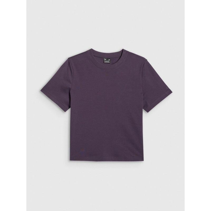 Women's regular plain T-shirt 4F 4FRAW25TTSHF3625-50S 4f