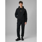 Men's regular hooded sweatshirt 4F 4FRSS26TSWSM2894-20S 4f