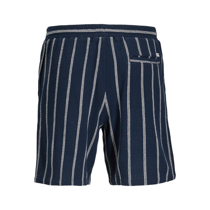 Jack&Jones men's striped shorts JPSTJAIDEN COBA STRIPE JOG SHORTS REG SN 12274413 SKY CAPTAIN/STRIPES Jack&Jones