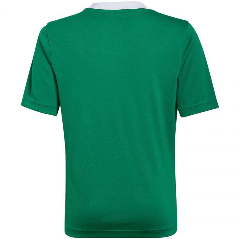 T-shirt adidas Entrada 22 Jersey Jr HI2126 Clothing/Training Adidas