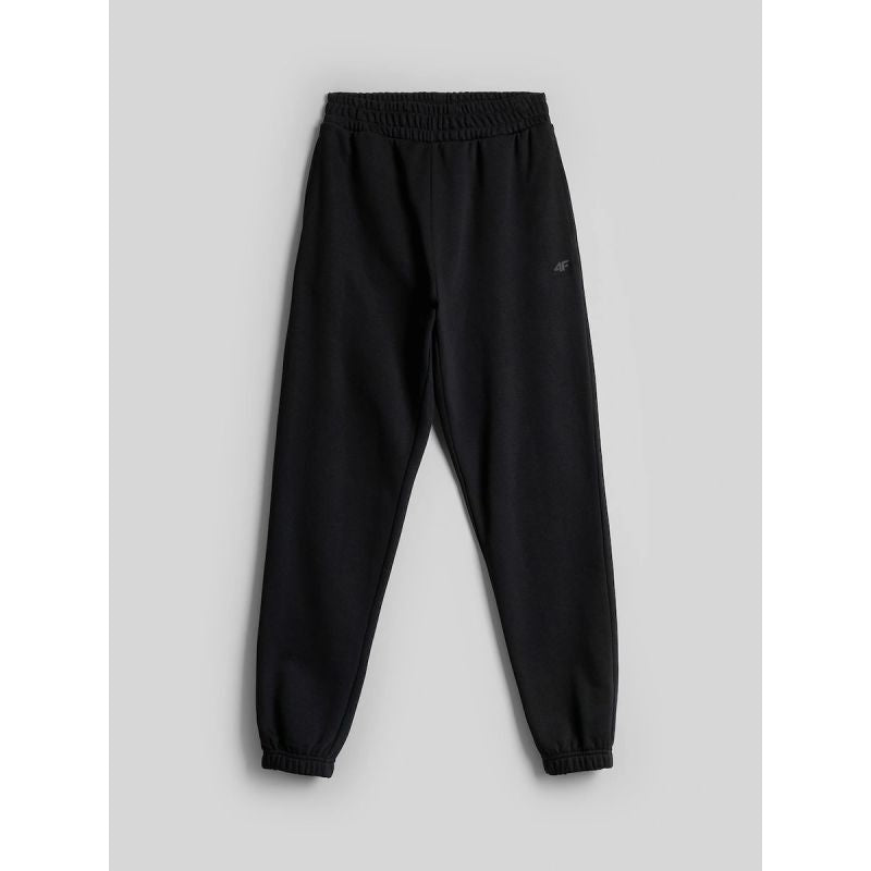 Women's jogger sweatpants 4F 4FRAW26TTROF2104-20S