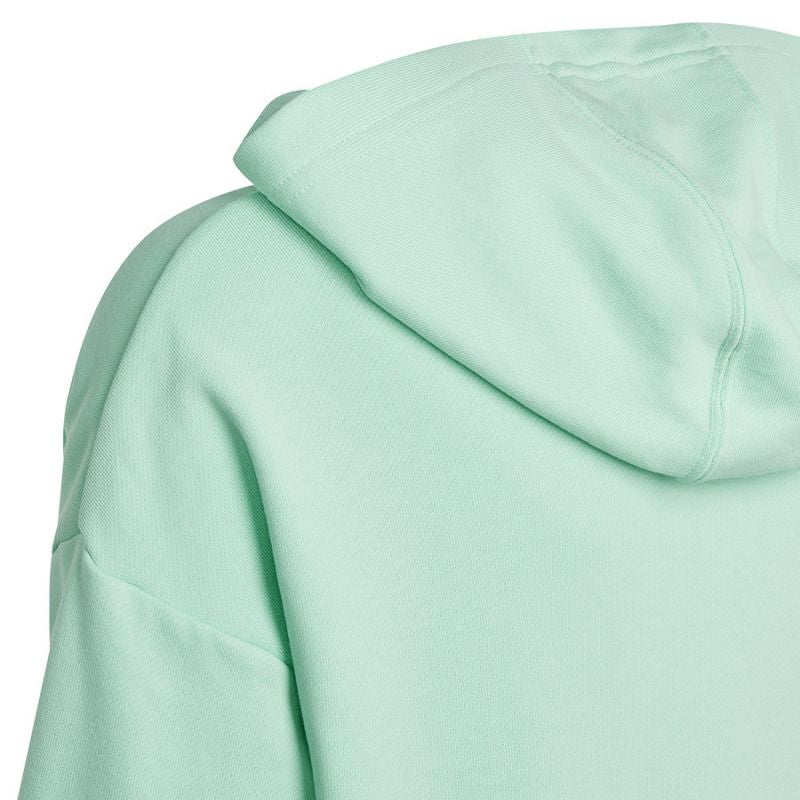 Adidas D Hoody Jr HR5825 sweatshirt Clothing/Lifestyle Adidas