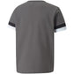 T-shirt Puma teamRise Jersey Jr 704938 13 Clothing/Training Puma