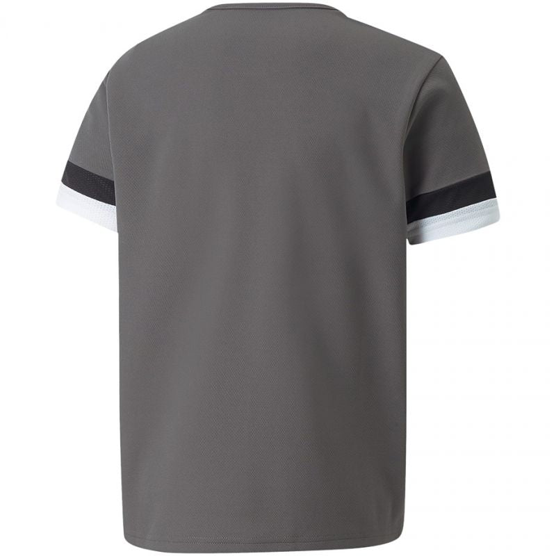 T-shirt Puma teamRise Jersey Jr 704938 13 Clothing/Training Puma