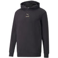 Sweatshirt Puma Better Hoodie FL Pebble M 670027 75 Clothing/Lifestyle Puma