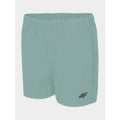 Women's trekking shorts 4F H4L22-SKDTR061-47S 4f