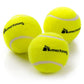 Meteor tennis ball 3 pcs 19000 Accessories/Balls/Tennis Your Sports Performance