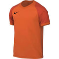 Nike Dri-FIT Trophy VI Shirt HV8151-819